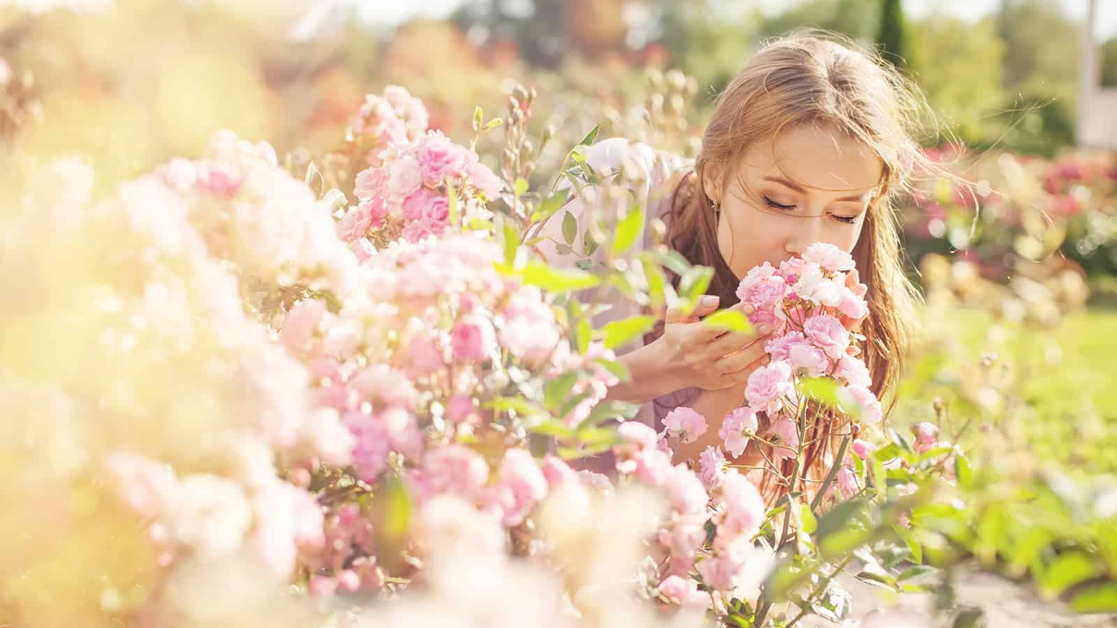 al_06_0