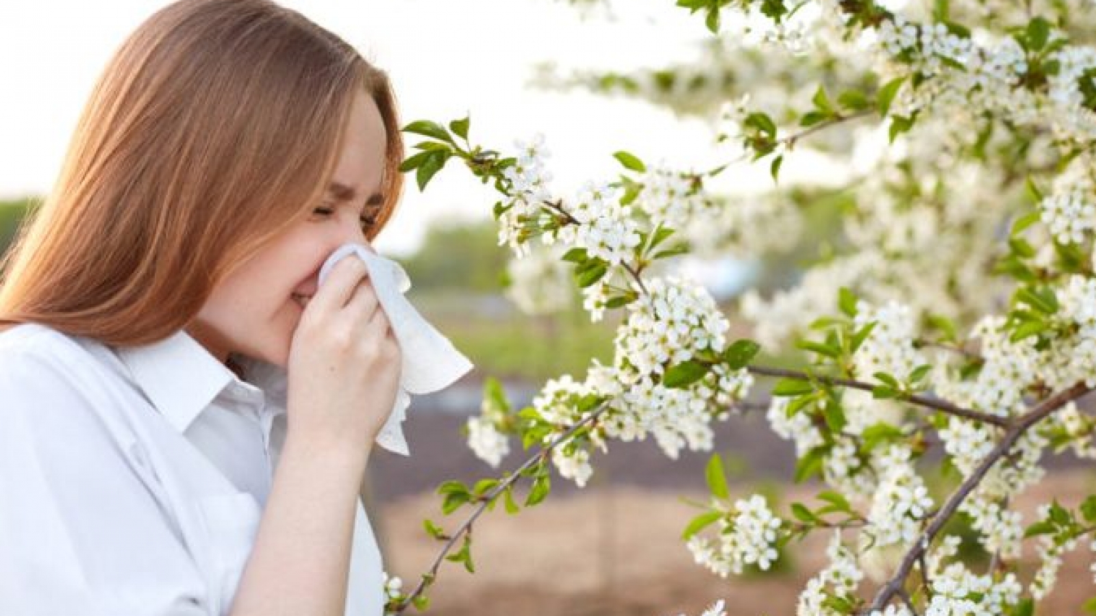 Pollen allergy symptom. Sideways outdoor shot of young European female sneezes in handkerchief or blows in wipe , being allergic to blossom during spring, stands on front of blooming tree outside.