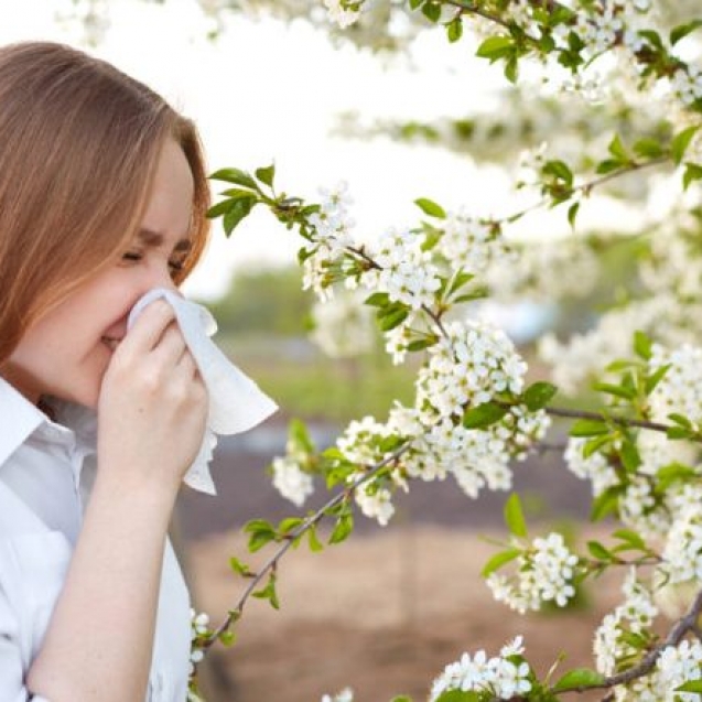 Pollen allergy symptom. Sideways outdoor shot of young European female sneezes in handkerchief or blows in wipe , being allergic to blossom during spring, stands on front of blooming tree outside.